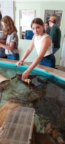 Large image of photo: DEI Touch Tank