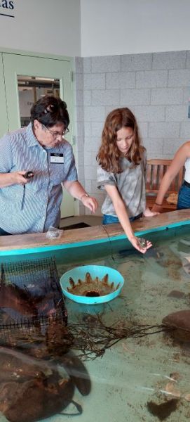 Large image of photo: DEI Touch Tank!